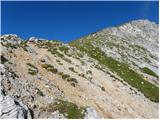 Bodenbauer - Hochstuhl/Stol